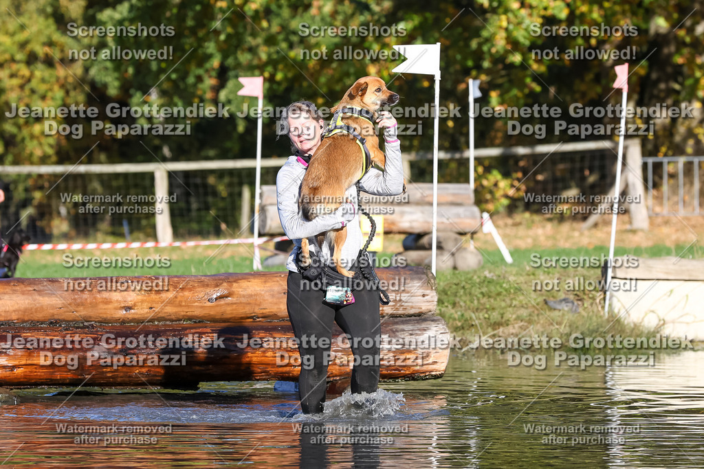 Dog Paparazzi - Strongdog 10-25-8749 | Dog Paparazzi Jeanette Grottendiek Fotografie & Videografie - Realisiert mit Pictrs.com