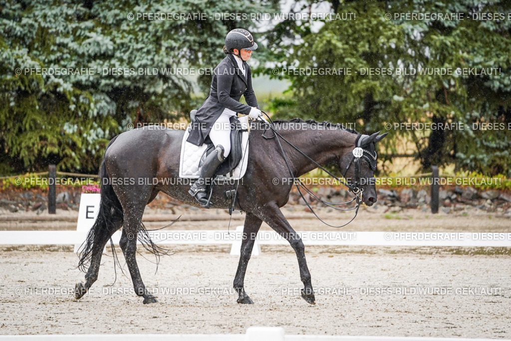 DSC08497 | Pferdegrafie