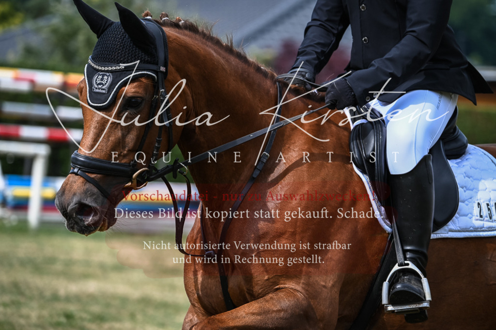 DSC_8180 | Pferde- und Turnierfotografie in Westsachsen. Pferdeportraits, Auftragszeichnungen und intuitive Kunst.