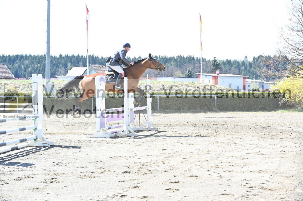 DSC_5134 | equestrian-live-com