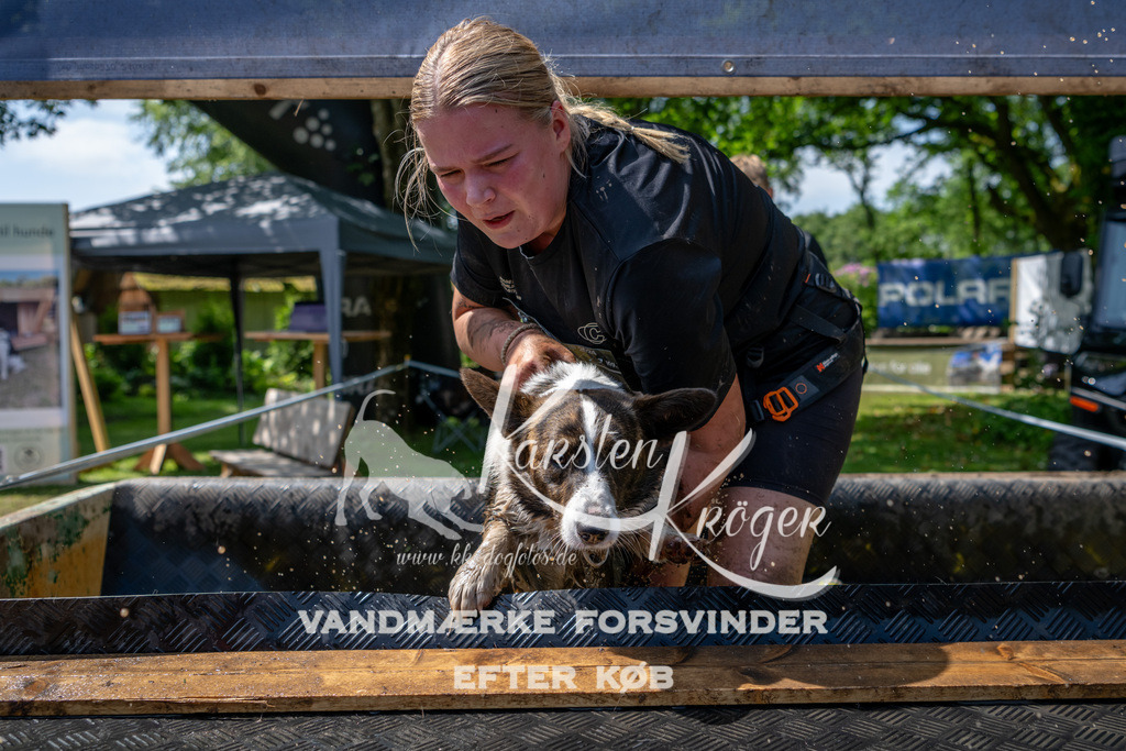 1202_ZZ90206 | kk-dogfotos