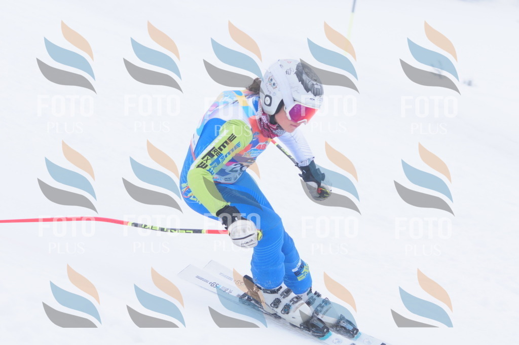 C2744 | holidayphoto