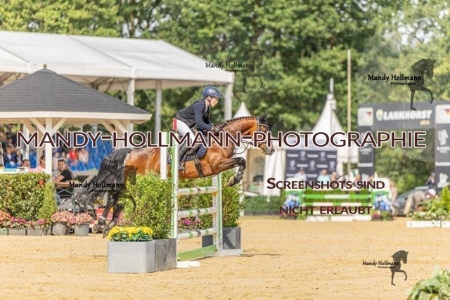 27 SPR 6-246 | mandyhollmannphotographie