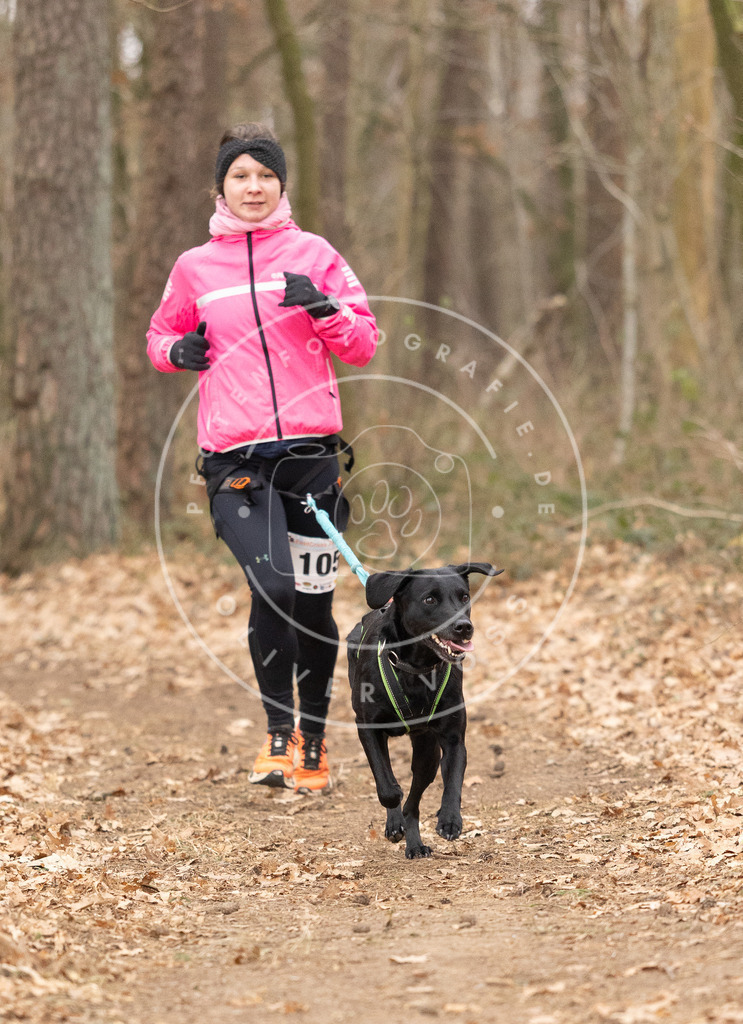 Pfotenfotografie_DV3A7677 | Hundefotografie, Tierfotograf, Pfotenfotografie, Fotoshooting Hund, Hunde Portrait, Hundesport, Hundeportraits, Heideshooting, Hunde, Sportfotograf, Hundefotograf, Turnierhundsport, THS,  - Realisiert mit Pictrs.com