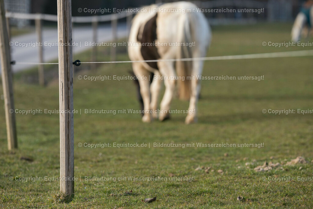 _TPD0959 | equistock