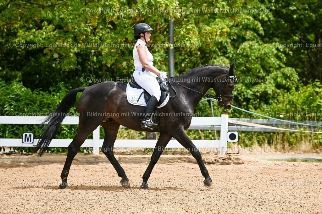 20230715_05_Dressurprüfung Kl.A++_0153 | equistock