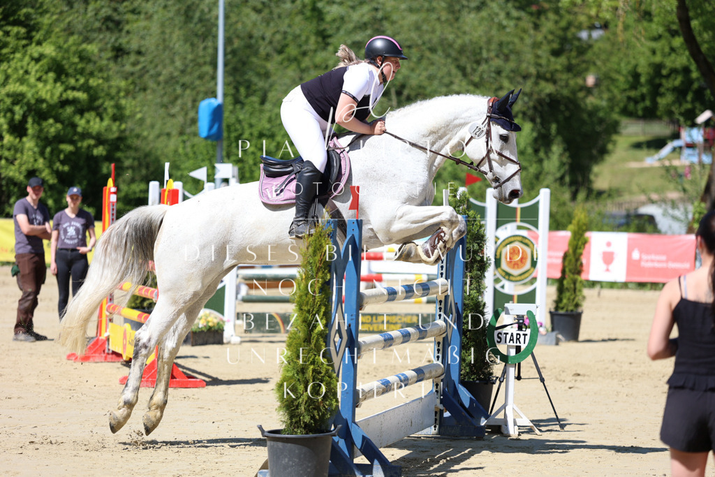 IMGS8671 | pl-fotografie