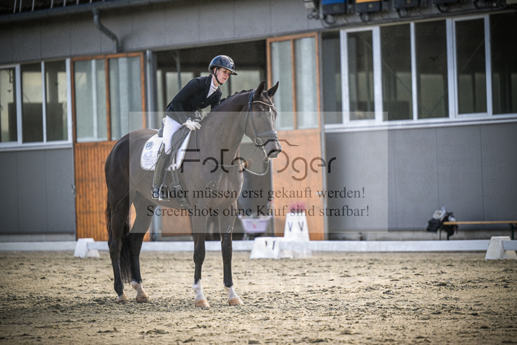 DOS_0269 | Entdecke hochwertige Reitturnierfotos von Foto Oger. Professionell, emotional und authentisch – jetzt Lieblingsmomente im Shop bestellen.Deutschlandweite Turnierfotografie. - Realisiert mit Pictrs.com