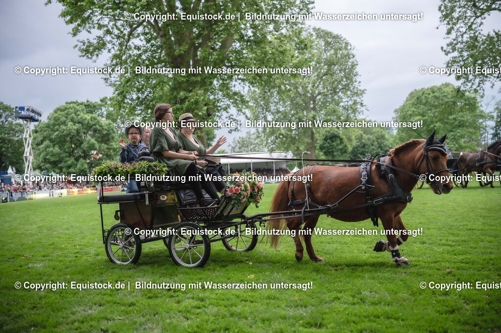 20240517_Lange-Pferdenacht_0116 | Foto: Thomas Hartig