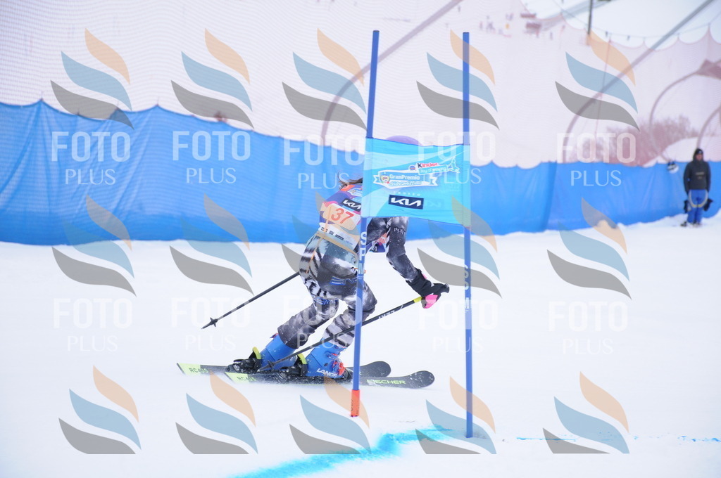 DSC_7835 | holidayphoto