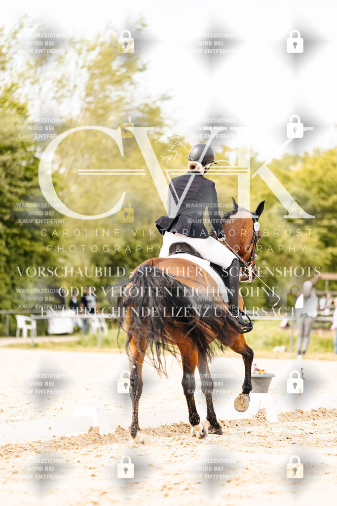 CK900961 | Turnierfotografie Pferdefotografie Trier Rheinland-Pfalz Pferdesport Reitsport Tierfotografie Sportfotografie Pferdevideo Pferdevideografie Equestrianvideography equestrianphotography  - Realisiert mit Pictrs.com