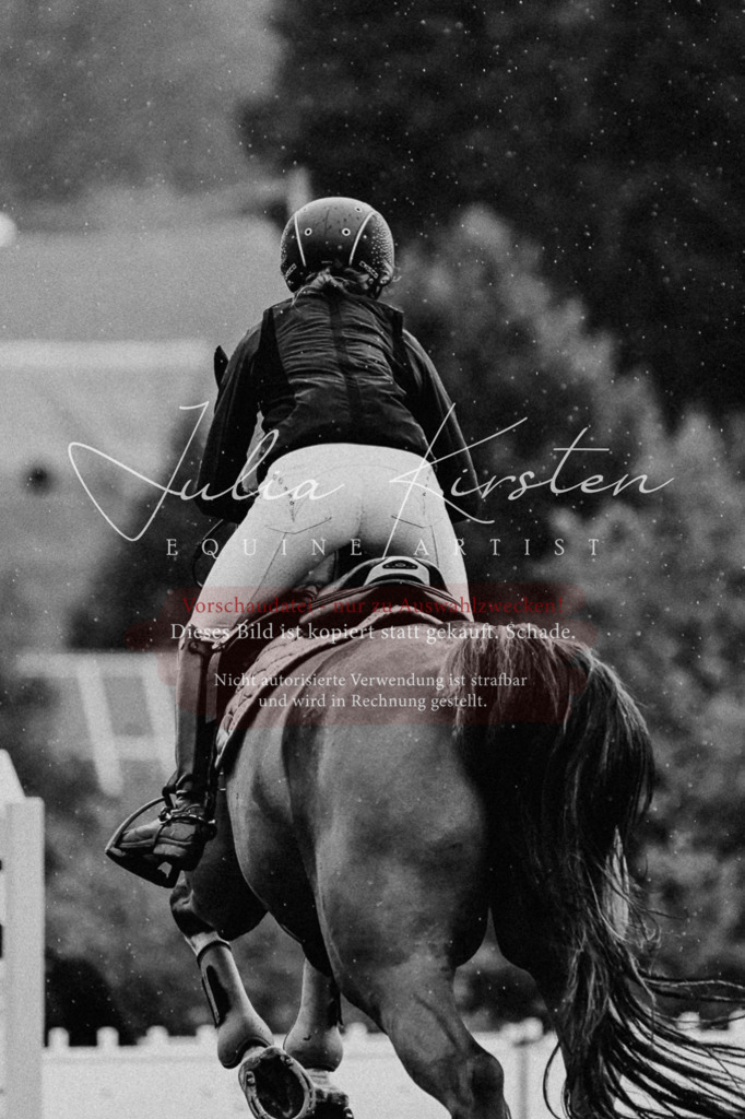 DSC_6381 | Pferde- und Turnierfotografie in Westsachsen. Pferdeportraits, Auftragszeichnungen und intuitive Kunst.
