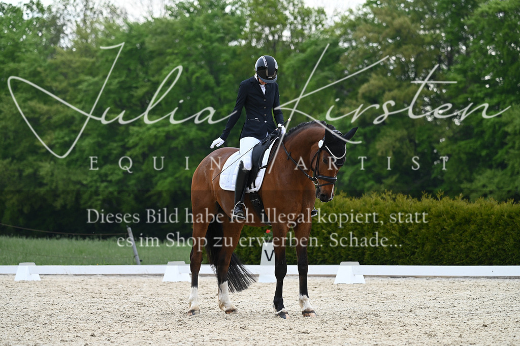20230512_JK-Röhrsdorf-02-158 | Pferde- und Turnierfotografie in Westsachsen. Pferdeportraits, Auftragszeichnungen und intuitive Kunst.