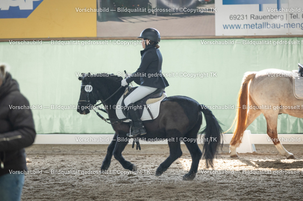 _D5A9099 | Emotionale Pferde- & People-Fotografie rund um Heidelberg, Leimen & Umgebung. Natürliche Fotos von Pferd, Mensch & Familie. Jetzt Termin sichern!