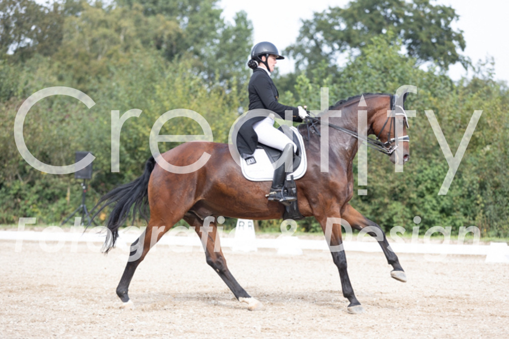 IMG_4591 | Creatify Fotografie