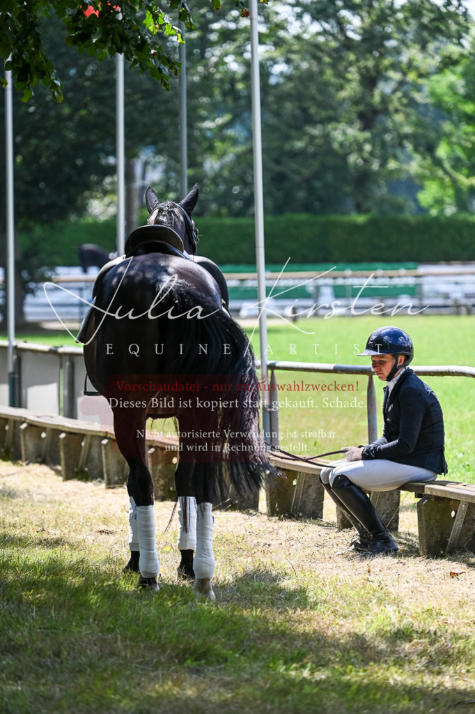 DSC_2748 | Pferde- und Turnierfotografie in Westsachsen. Pferdeportraits, Auftragszeichnungen und intuitive Kunst.