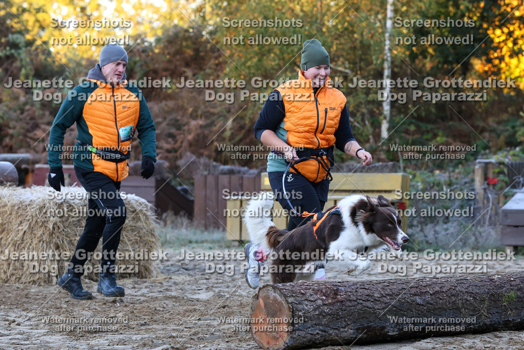 Dog Paparazzi - Strongdog 10-25-317 | Dog Paparazzi Jeanette Grottendiek Fotografie & Videografie - Realisiert mit Pictrs.com