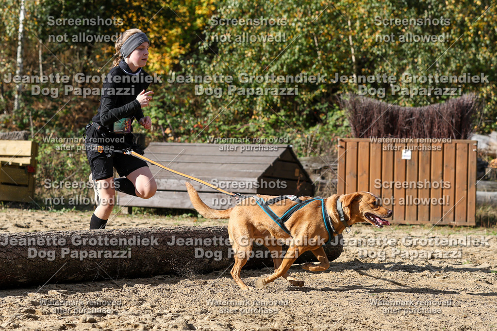 Dog Paparazzi - Strongdog 10-25-4935 | Dog Paparazzi Jeanette Grottendiek Fotografie & Videografie - Realisiert mit Pictrs.com