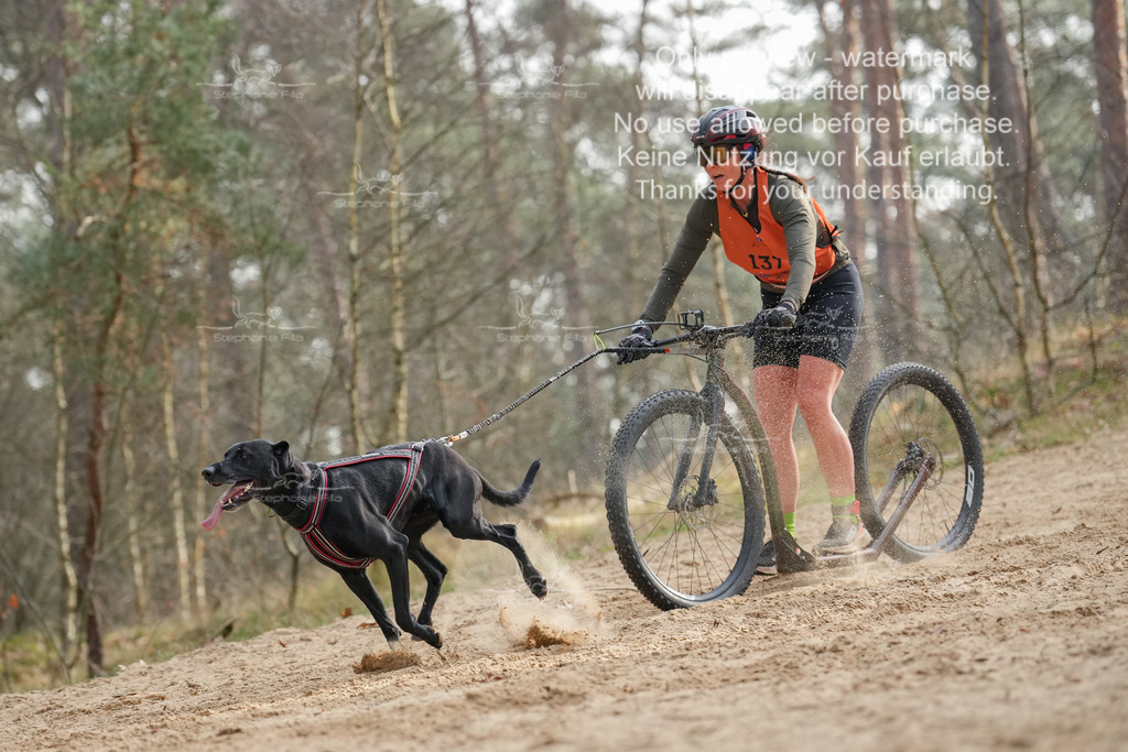 Scooter2-6 | stephaniefillaphotographie - Realisiert mit Pictrs.com