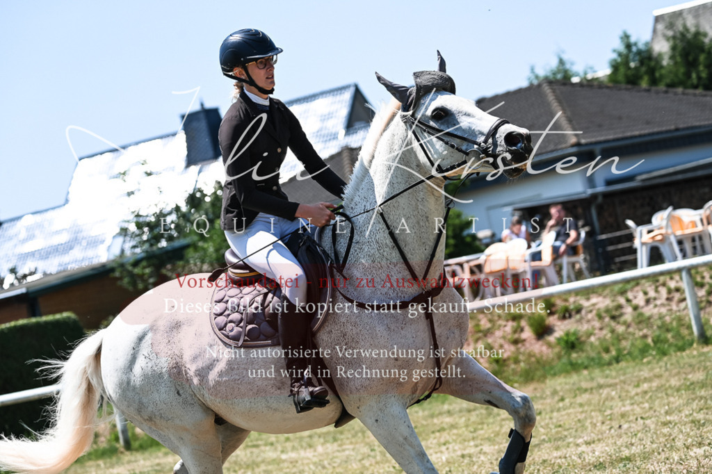 DSC_0258 | Pferde- und Turnierfotografie in Westsachsen. Pferdeportraits, Auftragszeichnungen und intuitive Kunst.