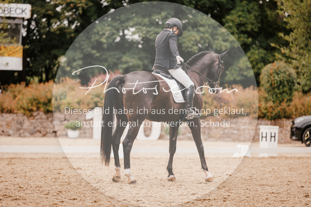 3I6A5972 | Stimmungsvolle Portraits und Reitsportfotografie im Ruhrgebiet und im Münsterland.

Pferdefotografie, Hundefotografie, Tierfotografie, Reportagen, Portraits von Tier und Mensch, Turnierfotografie in Bochum, Recklinghausen, Marl, Haltern am See, Dülmen.. - Realisiert mit Pictrs.com