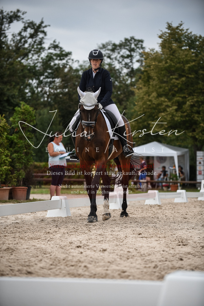 DSC_8460 | Pferde- und Turnierfotografie in Westsachsen. Pferdeportraits, Auftragszeichnungen und intuitive Kunst.