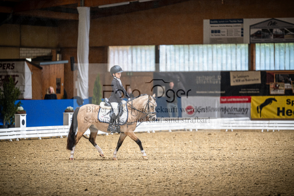 DOS_0702 | Entdecke hochwertige Reitturnierfotos von Foto Oger. Professionell, emotional und authentisch – jetzt Lieblingsmomente im Shop bestellen.Deutschlandweite Turnierfotografie. - Realisiert mit Pictrs.com