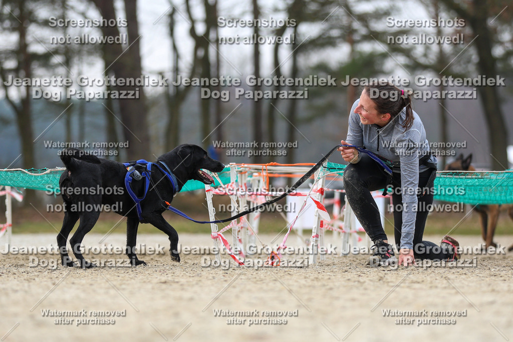 Dog Paparazzi - Strongdog North Mrz26-4525 | Dog Paparazzi Jeanette Grottendiek Fotografie & Videografie - Realisiert mit Pictrs.com