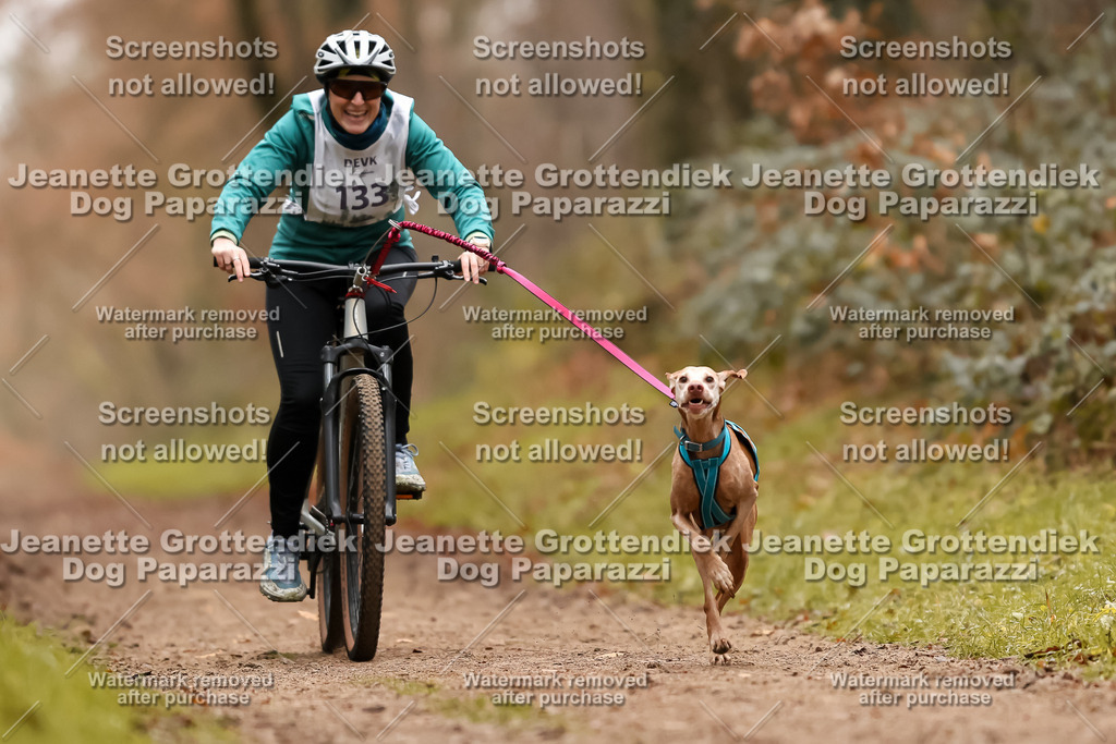 Dog Paparazzi - Speedhunter Mannheim  2025-372 | Dog Paparazzi Jeanette Grottendiek Fotografie & Videografie