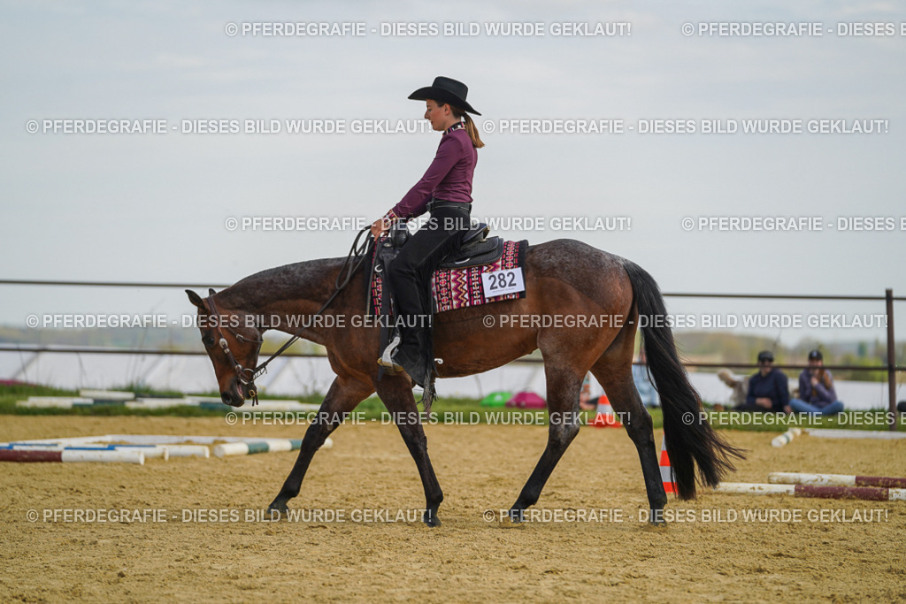 DSC05054 | Pferdegrafie