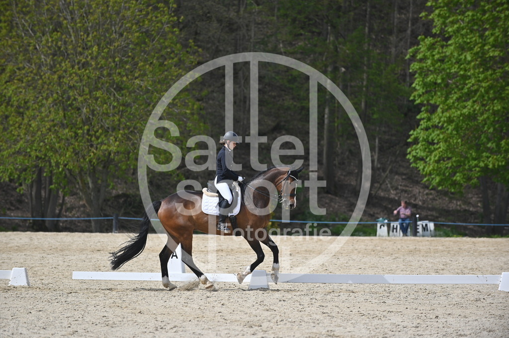 DSC_4208 | sattelsport - Realisiert mit Pictrs.com