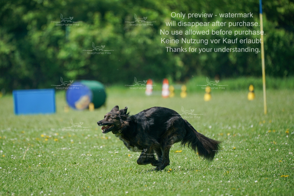 Sa_Gehorsam_Vormittag-181 | stephaniefillaphotographie - Realisiert mit Pictrs.com