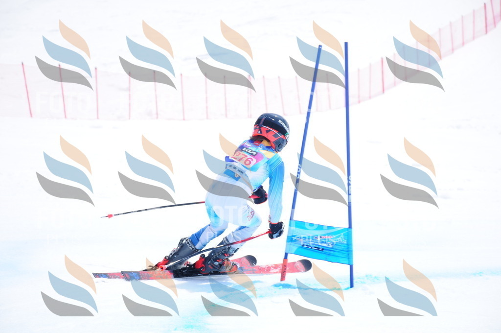 DSC_6466 | holidayphoto