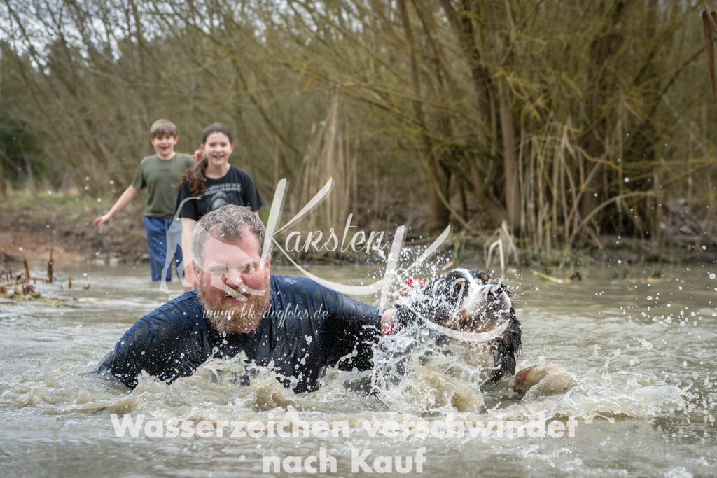 1541_ZZ93704 | kk-dogfotos