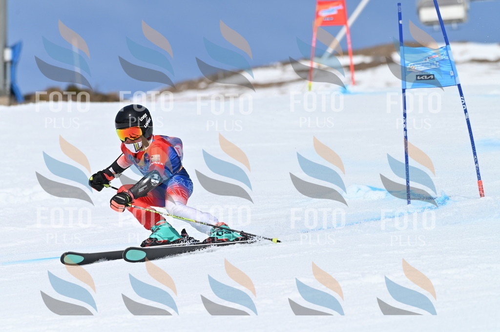 BGV_0791 | holidayphoto