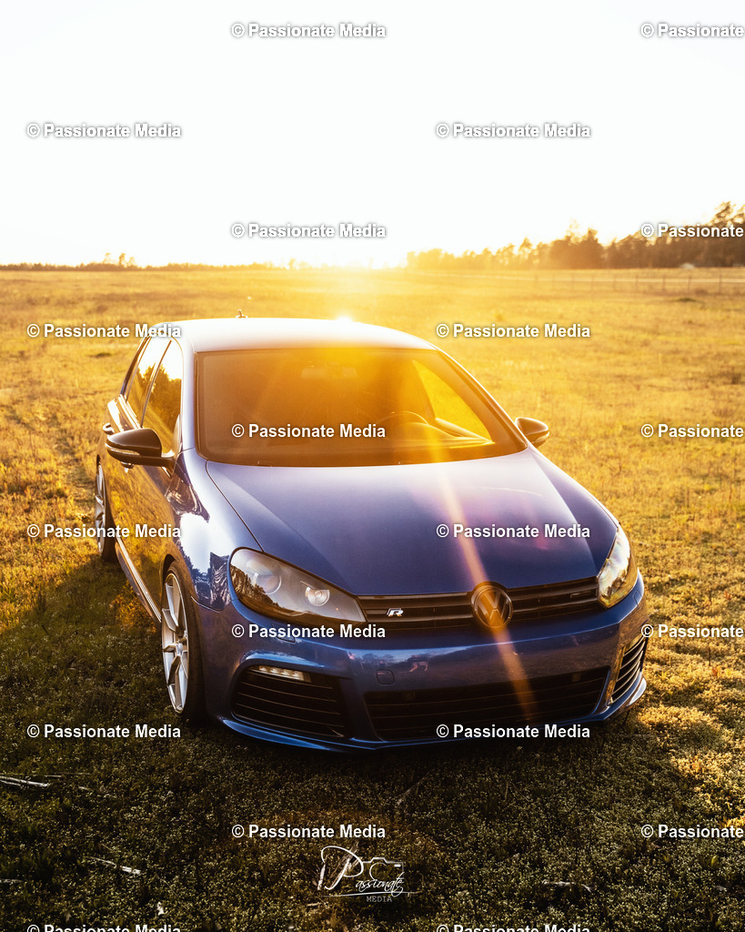 DSC05225 | Passionate Media, dein Fotograf aus Brandenburg, Märkisch Oderland, im Bereich Motorsport, Autos und Motorräder sowie Events und auch Hunde. Shootings oder auch Eventbegleitungen können bei mir gebucht we