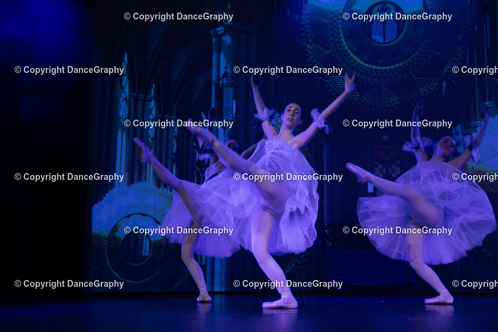 GPHY2615 | DanceGraphy - Realisiert mit Pictrs.com