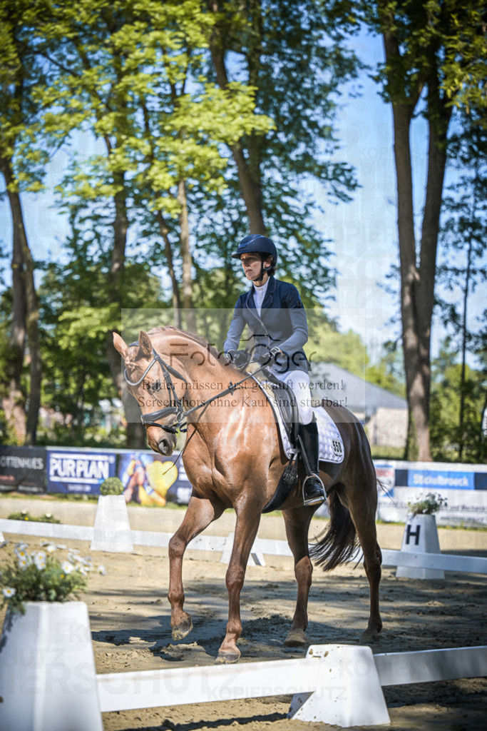 DOS_5667 | Entdecke hochwertige Reitturnierfotos von Foto Oger. Professionell, emotional und authentisch – jetzt Lieblingsmomente im Shop bestellen.Deutschlandweite Turnierfotografie. - Realisiert mit Pictrs.com