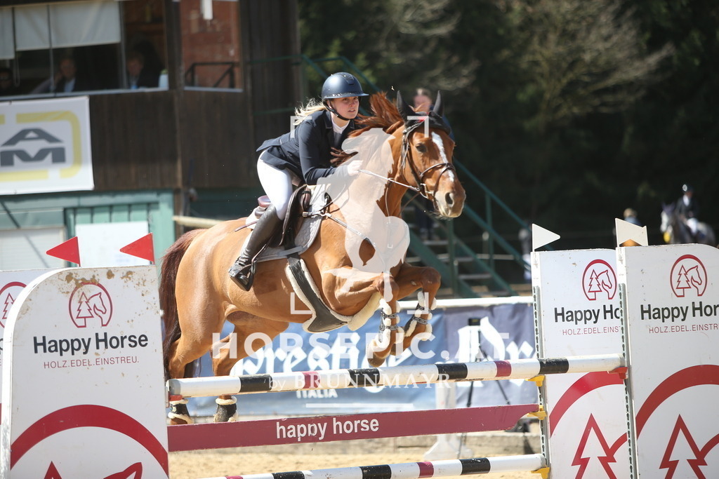 PP014385 | Willkommen bei Brunnmayr - Design & Fotografie – Ihrem Spezialisten für Reitturniere und Pferdeveranstaltungen in Oberösterreich, Salzburg und Bayern! Seit über 17 Jahren sind wir leidenschaftlich dabei.