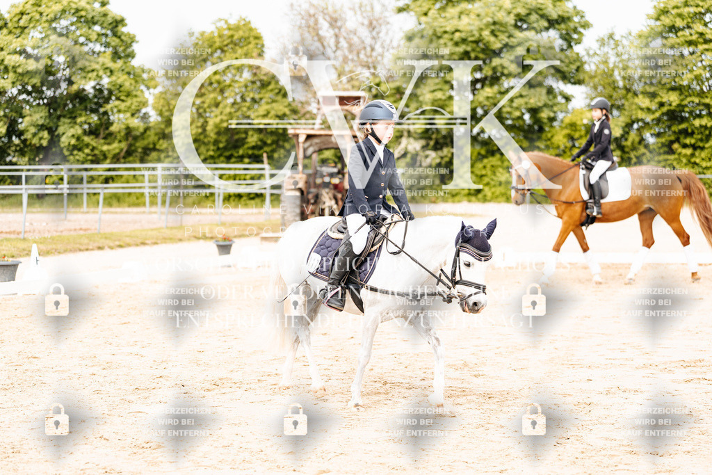 CK904533 | Turnierfotografie Pferdefotografie Trier Rheinland-Pfalz Pferdesport Reitsport Tierfotografie Sportfotografie Pferdevideo Pferdevideografie Equestrianvideography equestrianphotography  - Realisiert mit Pictrs.com