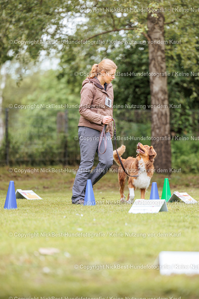 RO-Blumenthal-2026-Nickbest-Hundefotografie-3398 | Dein Hund! Dein Moment! Deine Erinnerungen! Hundefotografie in Bremen Blumenthal. Ich fange die besonderen Momente deines Vierbeiners ein – ob Indoor mit Blitzanlage oder in der freien Natur. Sicher dir dein Moment und dein Termin für eure Erinnerungen.