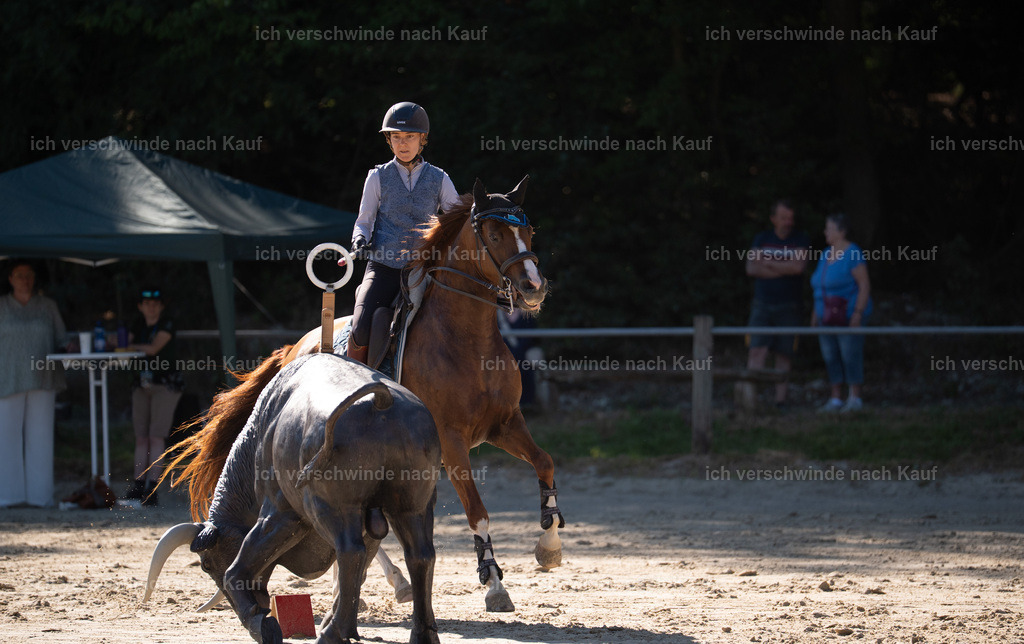 WL_SP_86_Stoibphotography_SO14926 | working equitationturnier fotograf videograf stoibphotography marixx film working equitation deutschland reitsport turnierfotografie eventfotografie equestrian events
