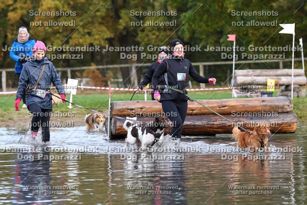 Dog Paparazzi - Strongdog 10-25-6825 | Dog Paparazzi Jeanette Grottendiek Fotografie & Videografie - Realisiert mit Pictrs.com