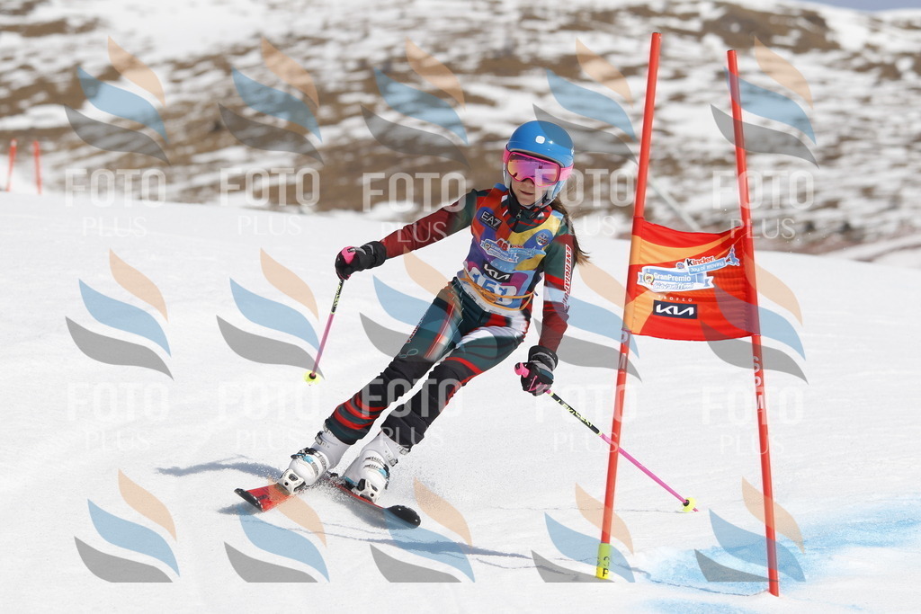 _U3G1243 | holidayphoto