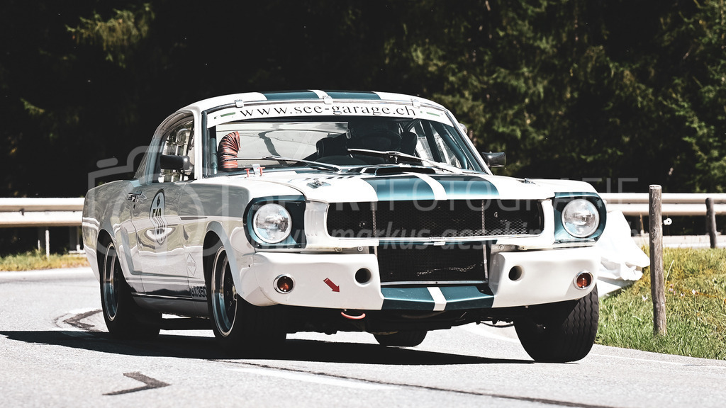 19. Arosa ClassicCar 2023 - 1. September 2023 | 19. Arosa ClassicCar 2023
Arosa, Schweiz
Lehner Dieter aus Kilchberg mit der Startnummer 510 in einem SHELBY Mustang GT 350R, Jahrgang 1965, in der Klasse Competition.
@arosaclassiccar, @arosa.official, #arosaclassiccar, #arosa, #76curves, #classiccar
Bild: Sportfotografie Markus Aeschimann | www.markus-aeschimann.ch - Realisiert mit Pictrs.com