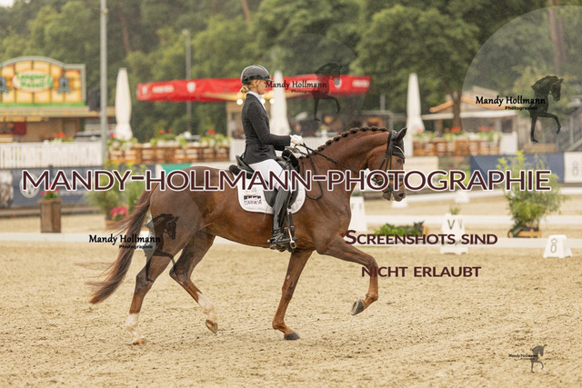 SW 4-780 | mandyhollmannphotographie