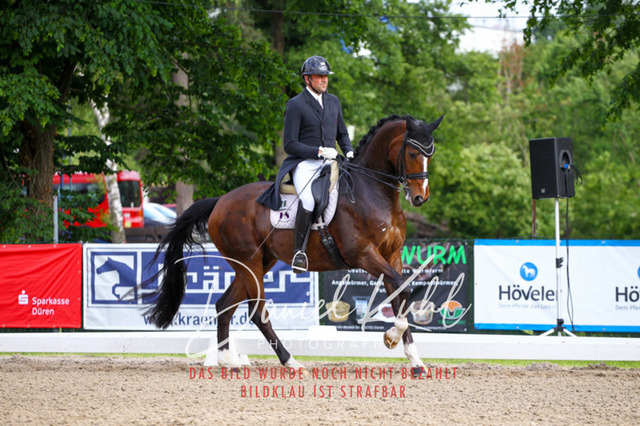 DKP41771 | Turnierfotos kaufen im Webshop von Daniel Kuhl Photography – entdecke professionelle Reitsportfotos aus Turnieren & Events. Hochwertige Turnierbilder online bestellen & sichern. Jetzt Fotos von Reitsportturnieren kaufen!