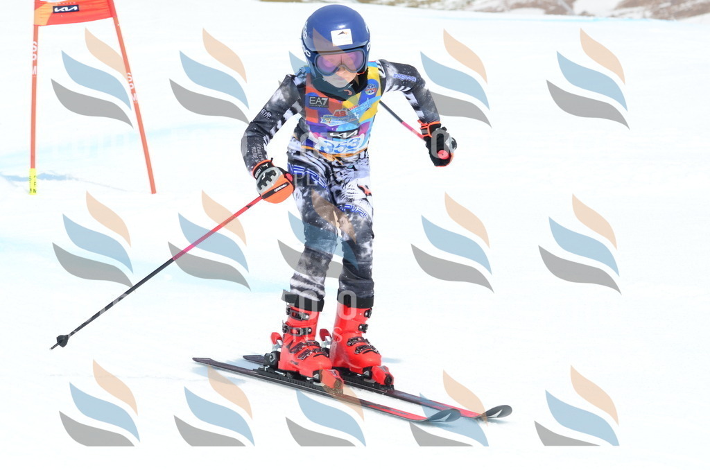 _ELE2721 | holidayphoto