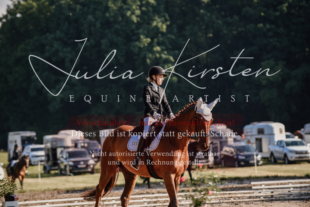 DSC_7728 | Pferde- und Turnierfotografie in Westsachsen. Pferdeportraits, Auftragszeichnungen und intuitive Kunst.