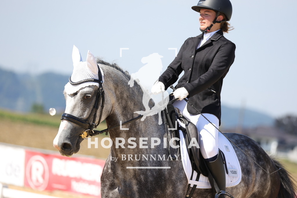 0P6A1341 | Willkommen bei Brunnmayr - Design & Fotografie – Ihrem Spezialisten für Reitturniere und Pferdeveranstaltungen in Oberösterreich, Salzburg und Bayern! Seit über 17 Jahren sind wir leidenschaftlich dabei.